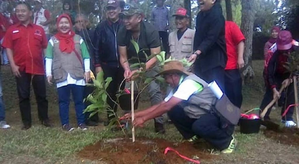1327181-Tanam-Seribu-Pohon-di-KBU