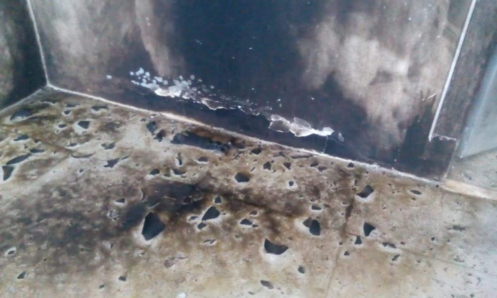 Polisi Wajib Usut Tuntas Pelaku Pelemparan Bom Molotov