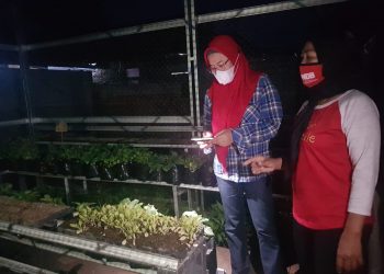 Kunjungi Kelompok Wanita Tani, Nina Agustina Dorong Kemandirian Petani