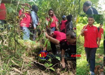 Cegah Bencana Alam, DPC PDIP Kota Tasik Bersih-bersih Sungai dan Menanam Pohon