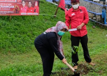 HUT PDI Perjuangan, Hj. Iis Turniasih Lakukan Penanaman Pohon Sepanjang Aliran Sungai Citarum