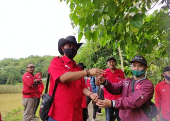 Kado Ultah Megawati, DPC PDIP Kota Tasik Tanam Pohon dan Tebar Benih Ikan