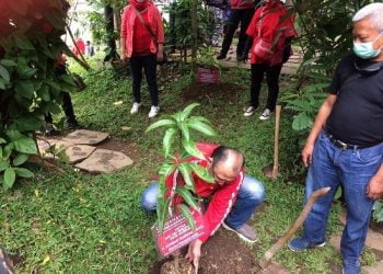 DPC PDI Perjuangan Kota Bandung Tanam Pohon dan Tebar Benih Ikan di Cikapundung