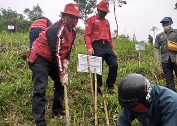 Hari Jadi PDI Perjuangan, DPC Kabupaten Bandung Gelar Penanaman Pohon