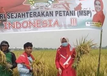 PDI Perjuangan Cirebon Tolak Wacana Impor Beras!