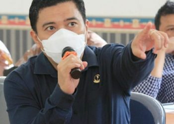 Pertanian Sektor Utama Pendorong Perekonomian Di Tengah Pandemi