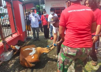 Rayakan Idul Adha, Ketua DPC PDI Perjuangan Karawang: Semangat Berkorban Hadapi COVID-19