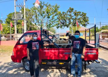 PDI Perjuangan Kabupaten Indramayu Siapkan Ribuan Paket Daging Qurban