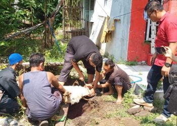 Indahnya Kebersamaan di Kantor DPC PDI Perjuangan Kota Cirebon