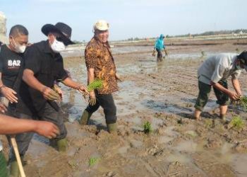 Sutrisno Komitmen Berdayakan Para Petani