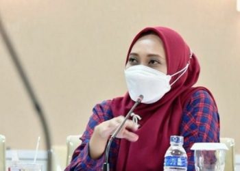 Dongkrak Perekonomian, DPRD Jabar, Hj Nia Purnakania Dorong Percepatan Perbaikan Jalan Provinsi
