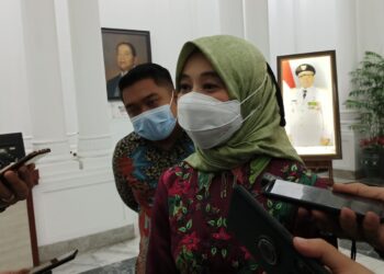 Ineu Purwadewi Sundari