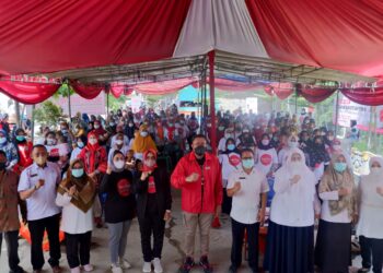 Melawan Stunting, Gerakan Halo Puan Mengolah Daun Kelor Menjadi Asupan Super