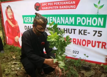 Cegah Longsor dan Banjir, PDI Perjuangan Tanam Pohon di Bantaran Sungai