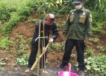 Rangkaian HUT PDI Perjuangan Ke 49, DPC PDI Perjuangan Gelar Penanaman Pohon