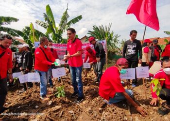 PDI Perjuangan Kabupaten Bekasi Gaungkan Gerakan Sicita dan Tanam Pohon