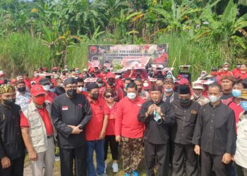 HUT ke-49 dan Milad Bu Mega, PDI Perjuangan Tanam Ribuan Pohon di DAS Citarum