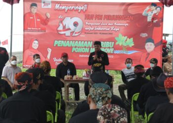 Rayakan HUT Partai dan Megawati, PDI Perjuangan Indramayu Tanam 1.000 Pohon