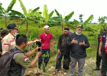 PDIP Kuningan Lakukan Penanaman Pohon