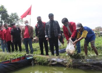 Fraksi PDI Perjuangan Kota Cimahi dan Provinsi Jabar Tebar Ribuan Benih Ikan di Kecamatan Cimahi Tengah