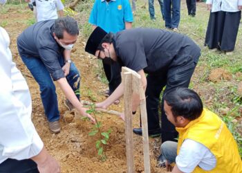 Miliki Potensi Besar,Mang Ono Dorong Produktifitas Pertanian dan Kehutanan di Cianjur Dimaksimalkan