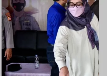 Penanganan Arus Mudik Lebaran 2022, DPRD Jabar Hj Ijah Hartini Apresiasi Semua Unsur Yang Terlibat