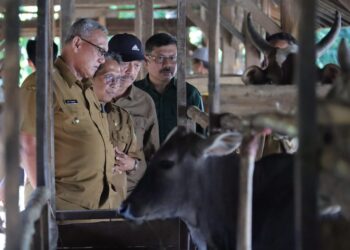 Bupati Acep Monitoring Vaksinasi PMK Di Desa Dukuh Badag