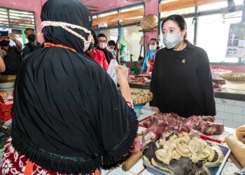 Puan Minta Pemerintah Perbaiki Tata Kelola Komoditas Pangan