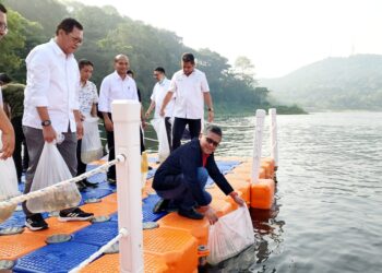 Ulang Tahun ke-56, Hasto Tebar Benih Ikan di Waduk Jatiluhur