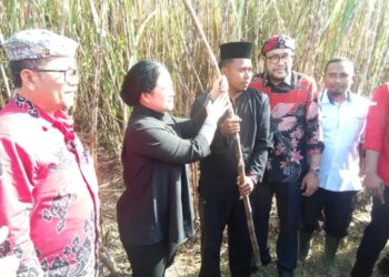 Puan Siap Perjuangkan Petani Tebu