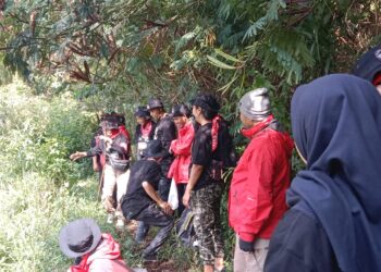 Ekspedisi Trisakti di Gunung Wayang Temukan Tumbuhan Endemik untuk Cemilan Minum Kopi