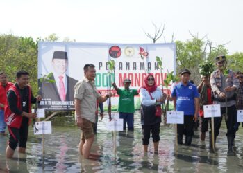 Peduli Lingkungan, TB Hasanuddin dan Niko Rinaldo Tanam Ribuan Mangrove di Pesisir Utara Subang