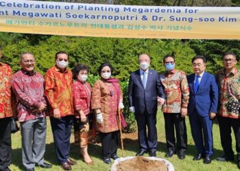 Megawati Tanam Pohon di Jeju, Ada Makna Hubungan RI-Korea
