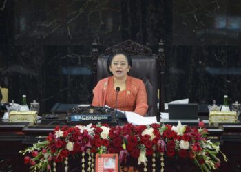 Puan Dorong Negara-Negara G20 Atasi Krisis Pangan