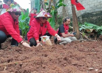Antisipasi Resesi Global 2023, Kader PDIP Depok Bercocok Tanam di Kebun Rakyat