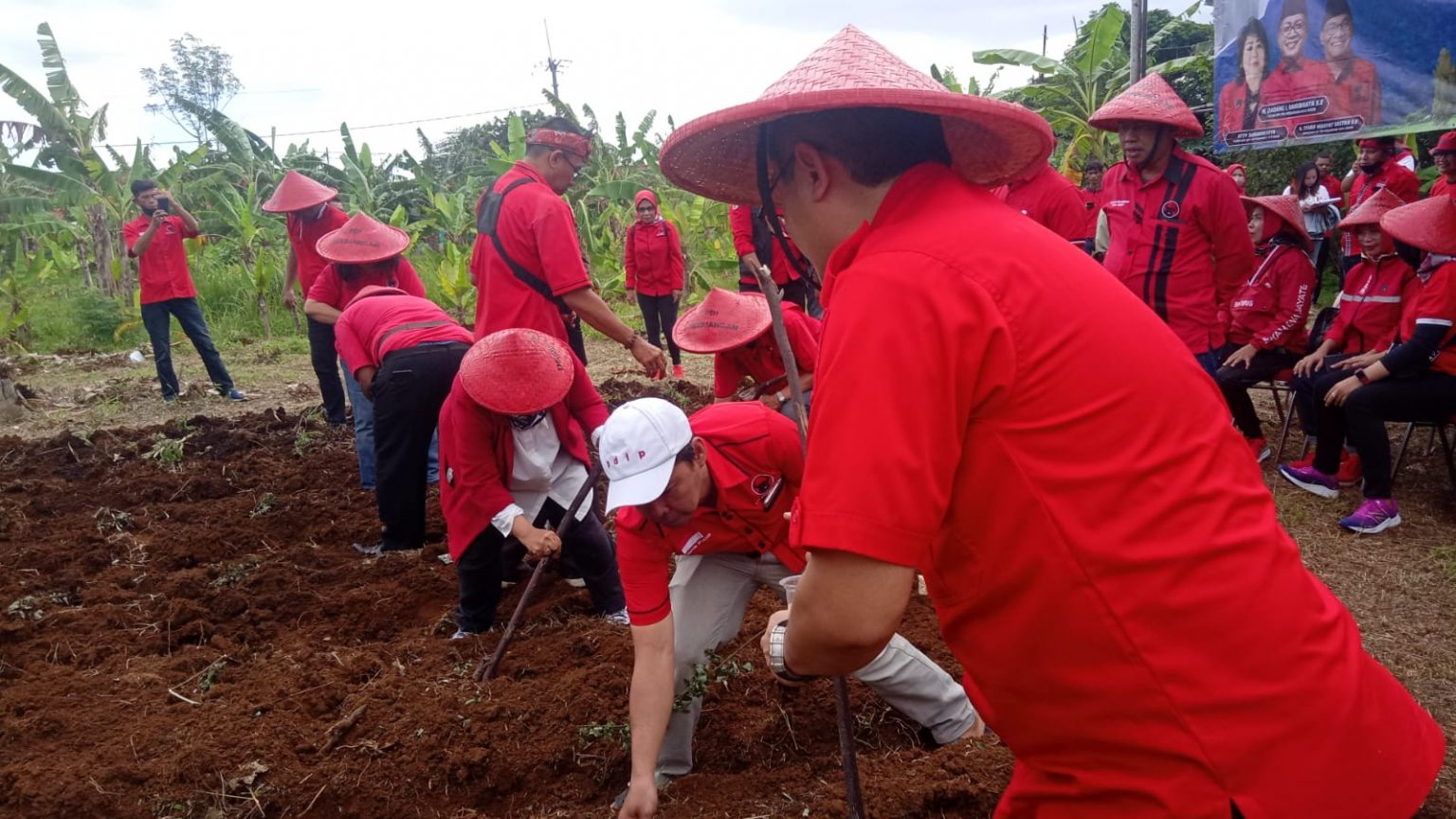 Daulat Pangan, PDIP Kota Bogor Ajak Publik Tanam Bibit di Kebun dan Pekarangan Rumah