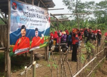 PDI Perjuangan Karawang Ikut Serta Dalam Tanam Serentak Kebun Rakyat Se-Jawa Barat