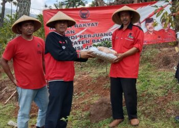 Wujudkan Ketahanan Pangan, DPC PDI Perjuangan Kabupaten Bandung Tanam Pangan Alternatif di Kebun Rakyat