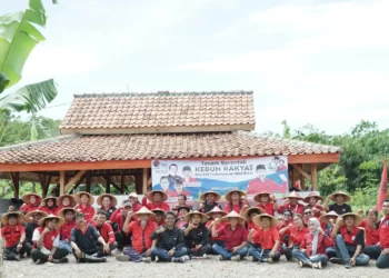 Junico Siahaan Pimpin Tanam Serentak di Kebun Rakyat Awangga DPC PDIP Subang