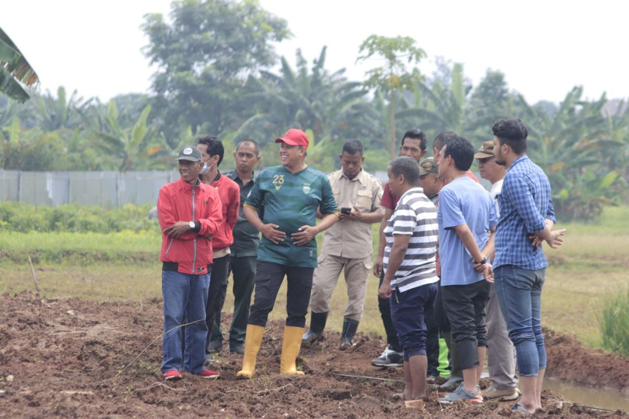 Perkuat Ketahanan Pangan, Tri Adhianto Meninjau Persiapan Kebun DPC PDI Perjuangan Kota Bekasi