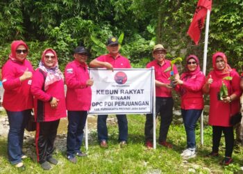 DPC PDI Perjuangan Kabupaten Purwakarta Gelar Penanaman Pangan Pengganti Beras