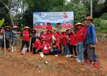 DPC PDI PDI Perjuangan Kota Sukabumi Komitmen Wujudkan Kedaulatan Pangan Lewat Kebun Rakyat
