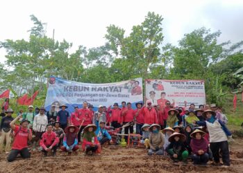Penanaman Bibit Tanaman Pengganti Beras di Kebun Rakyat DPC Kabupaten Tasikmalaya