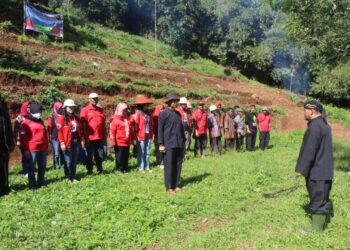DPC PDI Perjuangan Sumedang Lakukan Penanaman Tanaman Alternatif Pengganti Beras di Kebun Rakyat