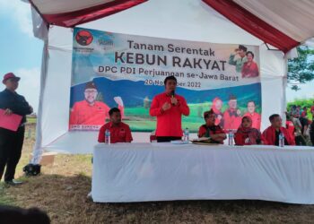 Wujudkan Kedaulatan Pangan, DPC PDI Perjuangan Kabupaten Cirebon Tanam Tanaman Pangan Serentak