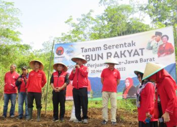 DPC PDI Perjuangan Kota Tasikmalaya Laksanakan Penanaman Tanaman Alternatif Pengganti Beras di Kebun Rakyat