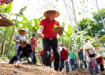 DPC PDI Perjuangan Kota Bandung Menyiapkan Tanaman Endemic Untuk Menghadapi Krisis Pangan