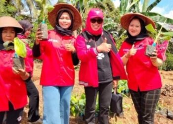 Anggota DPRD Jabar Hj Ijah Hartini Apresiasi Kegiatan Tanam Serentak Kebun Rakyat Se Jabar