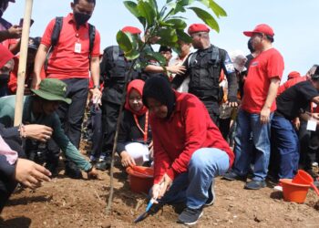 Penghijauan Nasional PDIP, Risma: Kita Akan Mendapat Pahala Terus Menerus