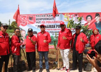 DPC PDI Perjuangan Kota Bekasi Gelar Penanaman Pohon dan Pembagian Paket Sembako ke Lansia